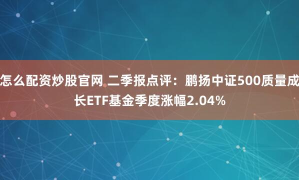 怎么配资炒股官网 二季报点评：鹏扬中证500质量成长ETF基金季度涨幅2.04%
