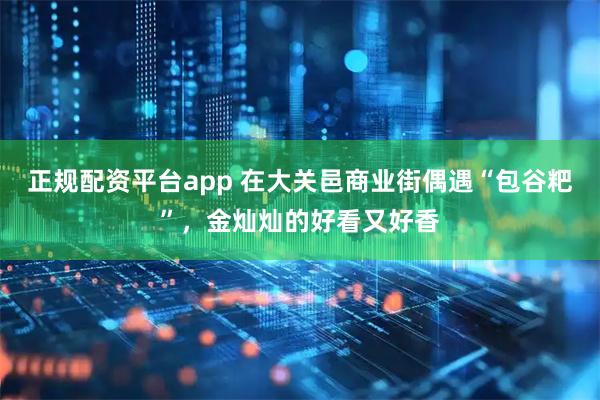 正规配资平台app 在大关邑商业街偶遇“包谷粑”，金灿灿的好看又好香